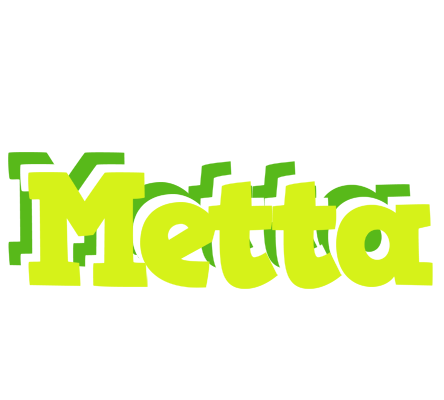 Metta citrus logo