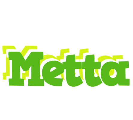 Metta picnic logo