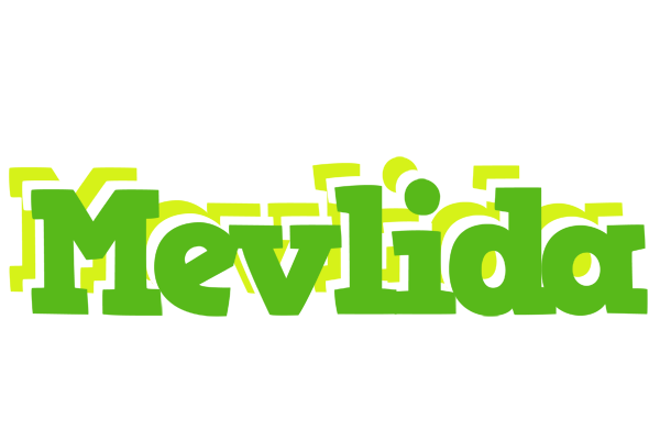 Mevlida picnic logo