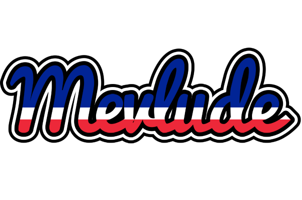 Mevlude france logo