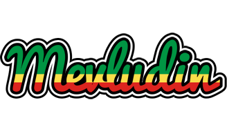 Mevludin african logo