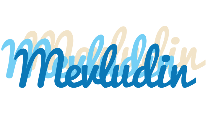 Mevludin breeze logo