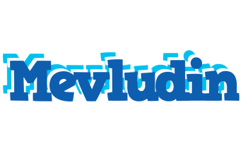Mevludin business logo