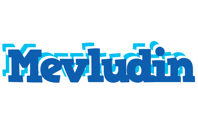 Mevludin business logo