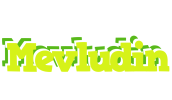 Mevludin citrus logo