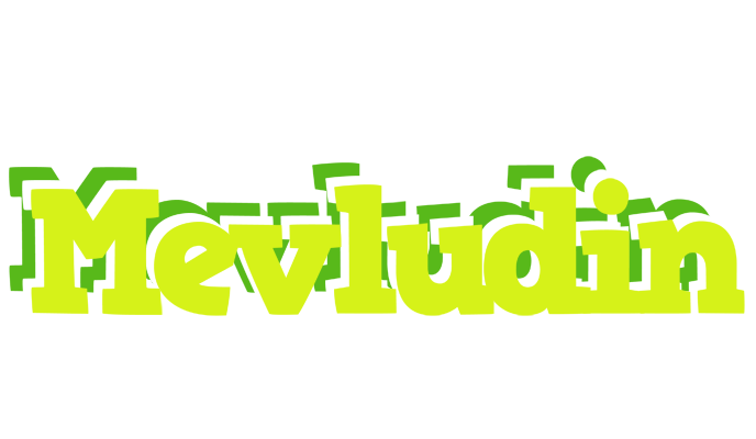 Mevludin citrus logo