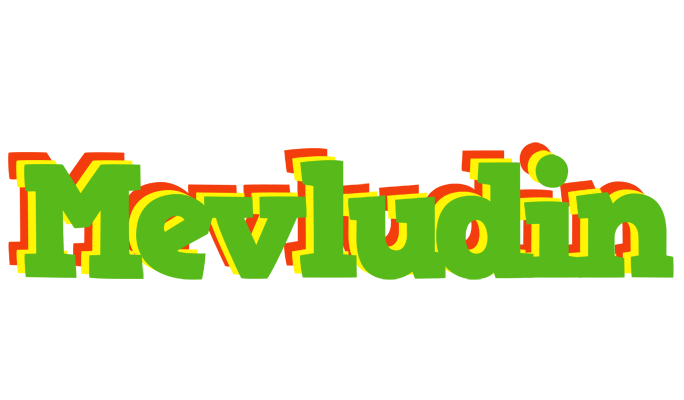 Mevludin crocodile logo