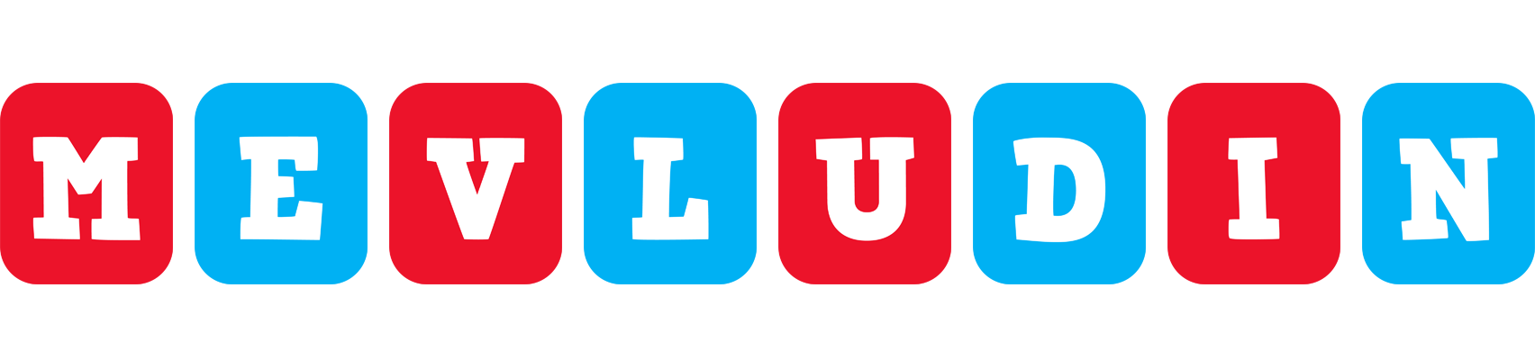 Mevludin diesel logo