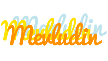 Mevludin energy logo