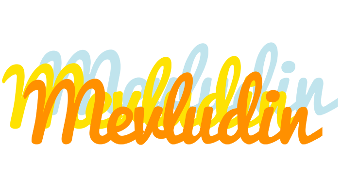 Mevludin energy logo