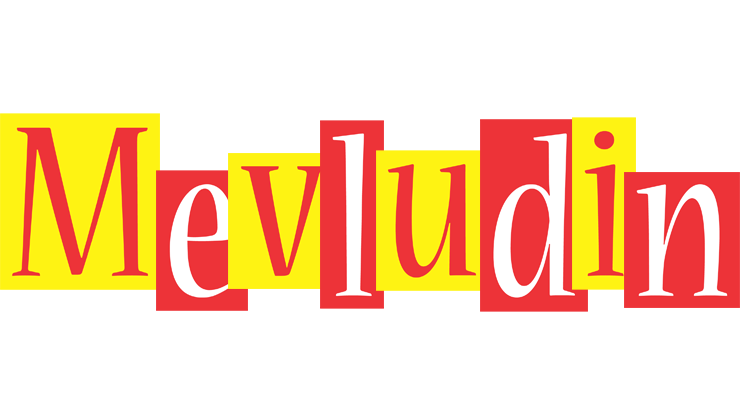 Mevludin errors logo