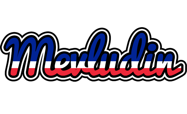 Mevludin france logo