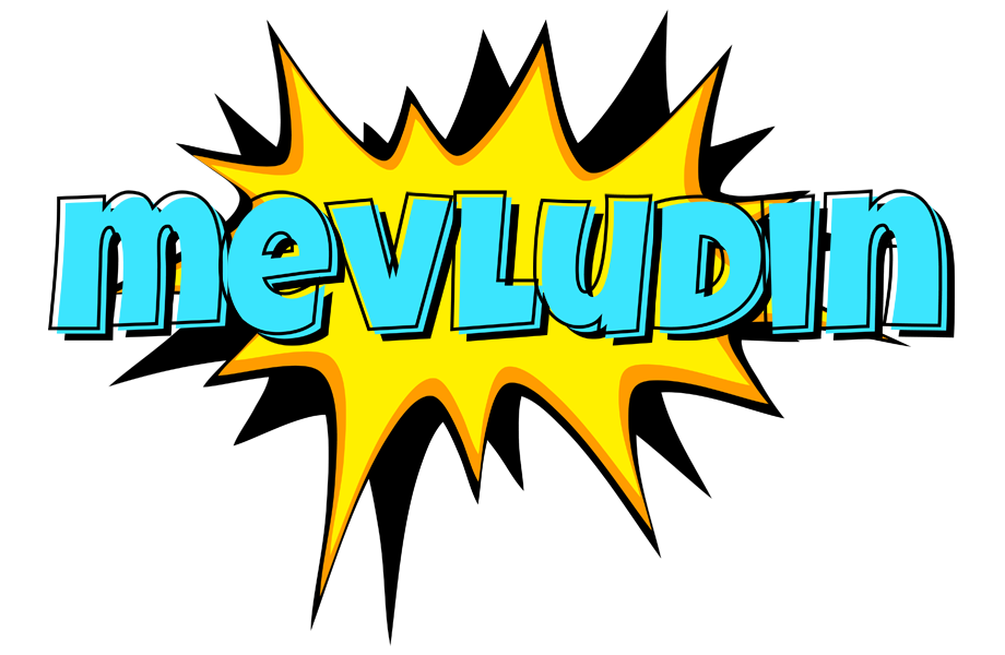 Mevludin indycar logo