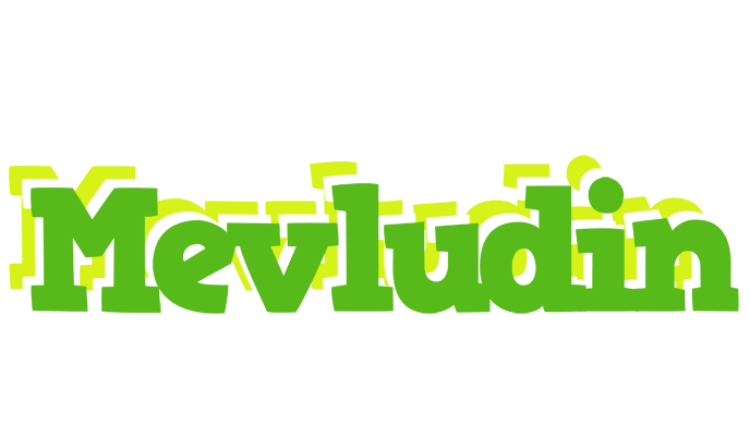 Mevludin picnic logo