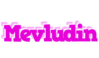 Mevludin rumba logo
