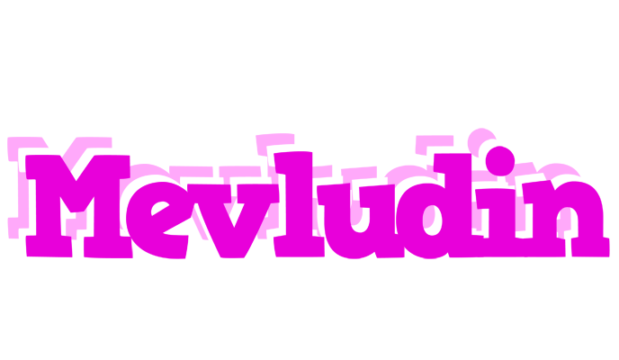 Mevludin rumba logo
