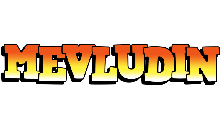 Mevludin sunset logo