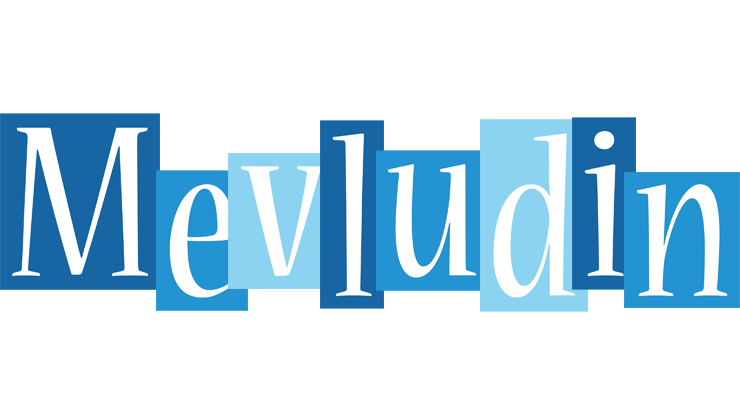 Mevludin winter logo