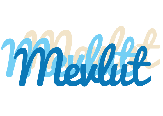 Mevlut breeze logo