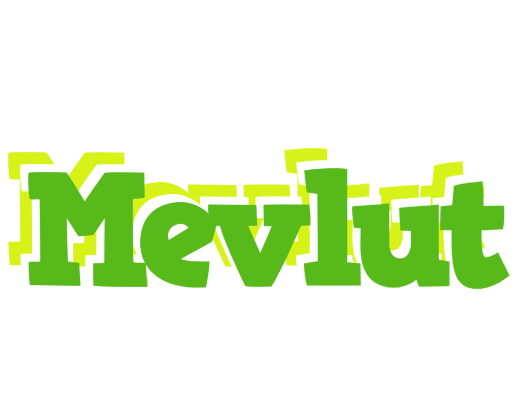 Mevlut picnic logo