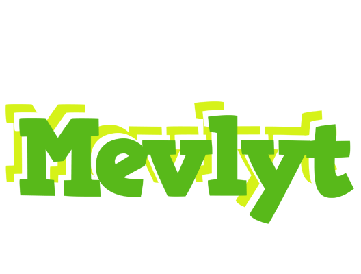 Mevlyt picnic logo