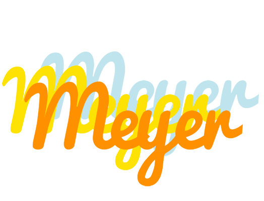Meyer energy logo