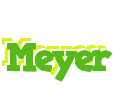 Meyer picnic logo