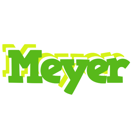 Meyer picnic logo