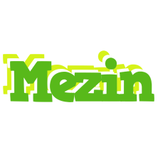 Mezin picnic logo