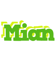 Mian picnic logo