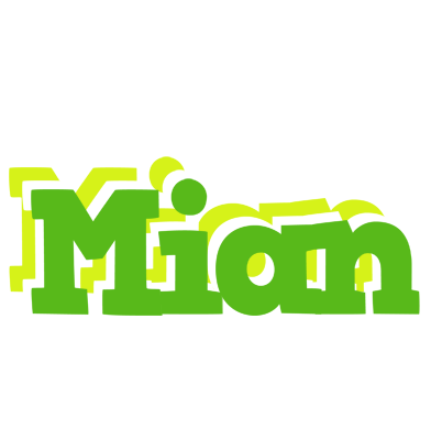 Mian picnic logo