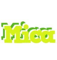 Mica citrus logo