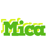 Mica picnic logo