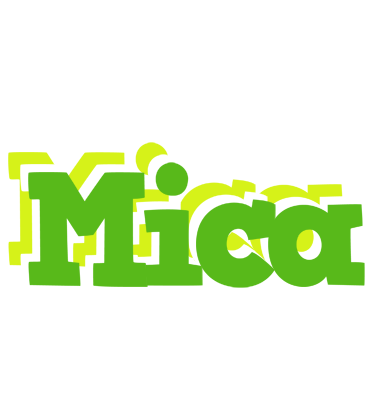 Mica picnic logo