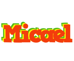 Micael bbq logo