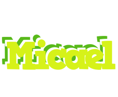 Micael citrus logo