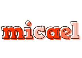 Micael paint logo