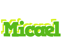 Micael picnic logo