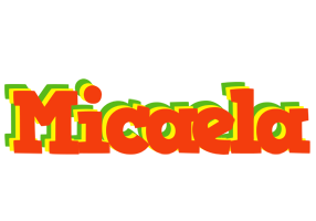 Micaela bbq logo