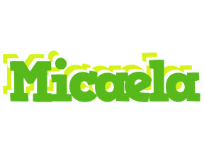 Micaela picnic logo