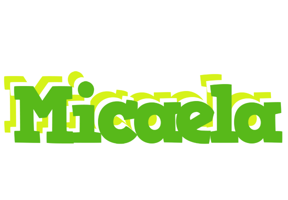 Micaela picnic logo