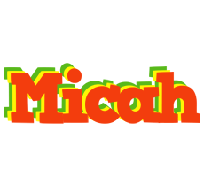 Micah bbq logo