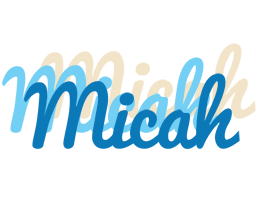 Micah breeze logo