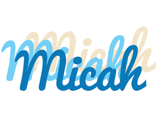 Micah breeze logo