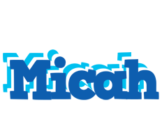 Micah business logo