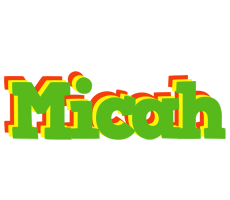 Micah crocodile logo