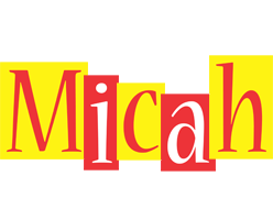 Micah errors logo