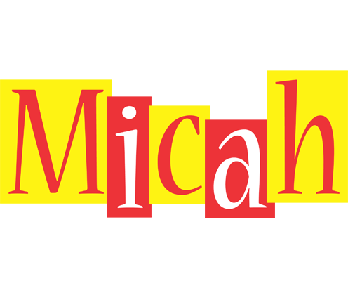 Micah errors logo