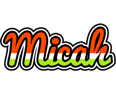 Micah exotic logo