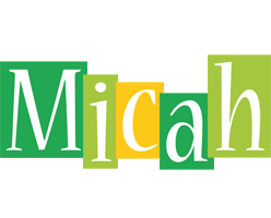 Micah lemonade logo